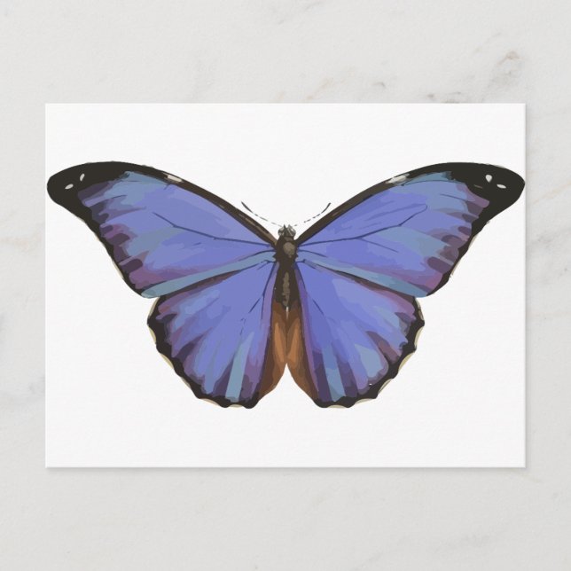 Blue Butterfly Postcard (Front)