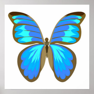 Blue butterfly poster