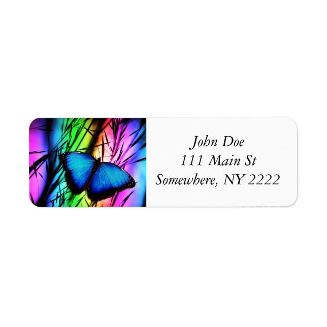 Blue Butterfly Rainbow (Front)
