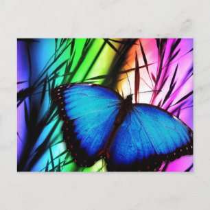 Blue Butterfly Rainbow Postcard