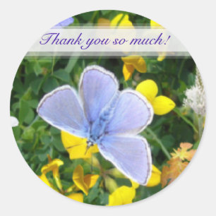BLUE BUTTERFLY Sticker