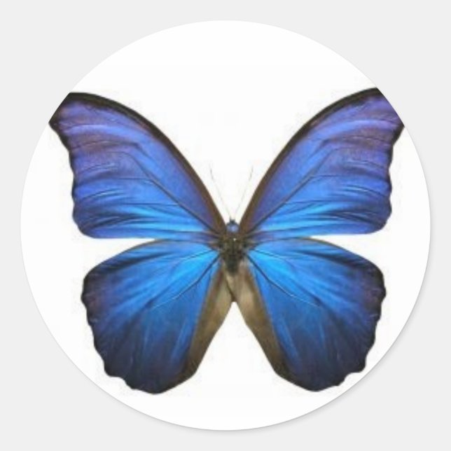Blue Butterfly Stickers (Front)