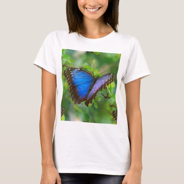 Blue Butterfly T-Shirt (Front)