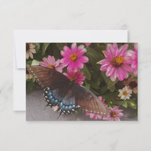 blue butterfly  thank you card (Front)
