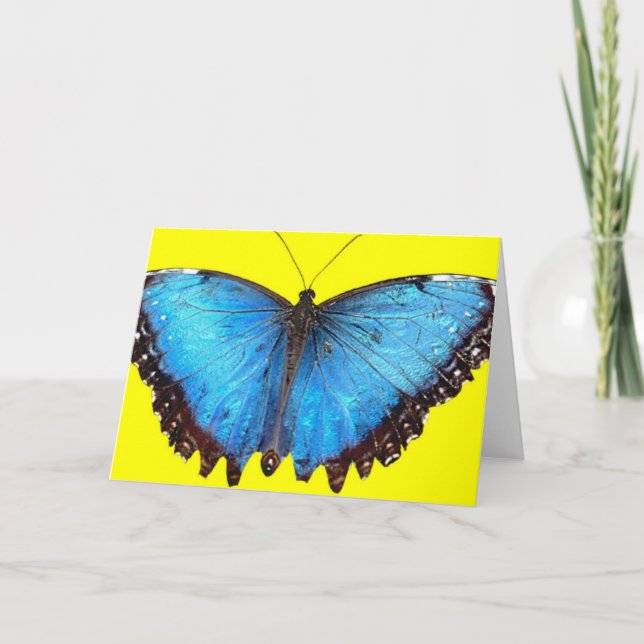 Blue Butterfly Thank You Card (Front)