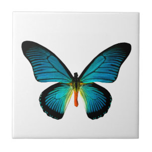 Blue Butterfly Tile