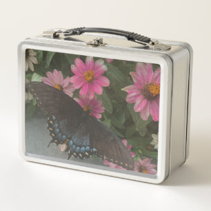 blue Butterly Metal Lunch Box