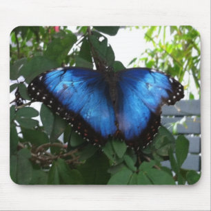 BLUE BUTTERLY MOUSE MAT