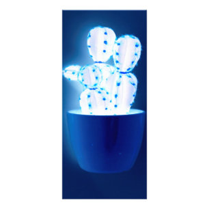 Blue cactus rack card