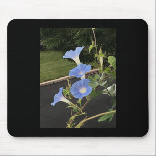 Blue Cascade Morning Glory Mouse Mat