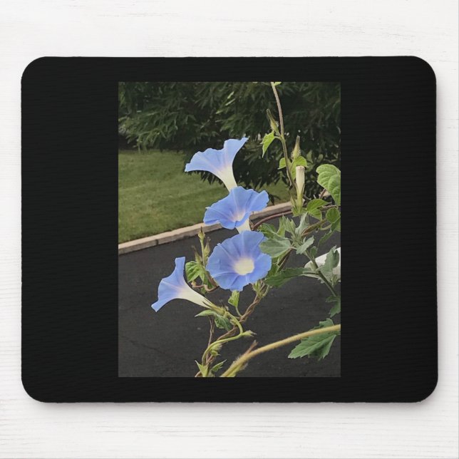 Blue Cascade Morning Glory Mouse Mat (Front)