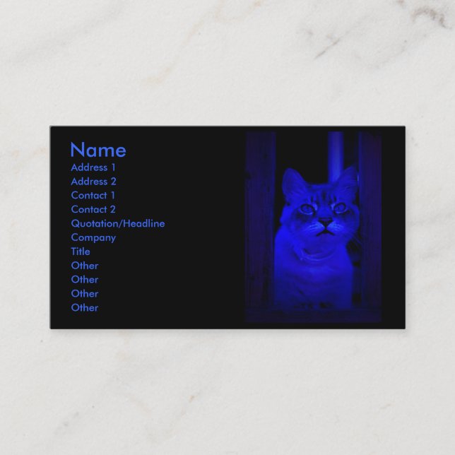 Blue Cat Business Card (Front)