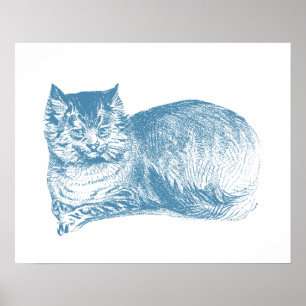 Blue Cat Poster