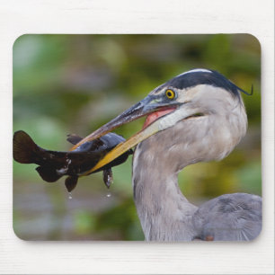 Blue Catfish Mouse Mat