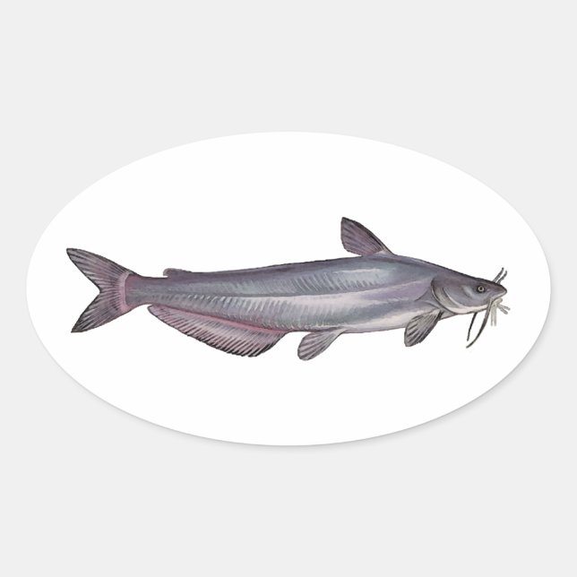 Blue Catfish Oval Sticker (Front)