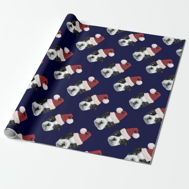 Blue Christmas Boston Terriers wrapping paper (Unrolled)