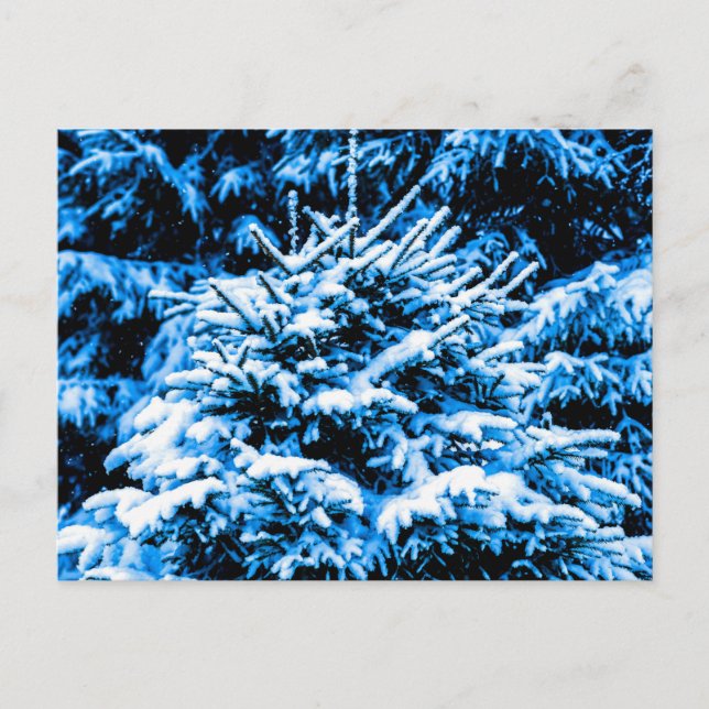 Blue Christmas Tree, Snow Postcard (Front)