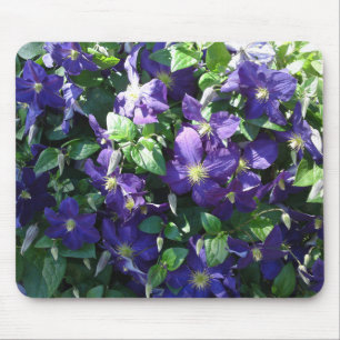 Blue Clematis Mouse Pad