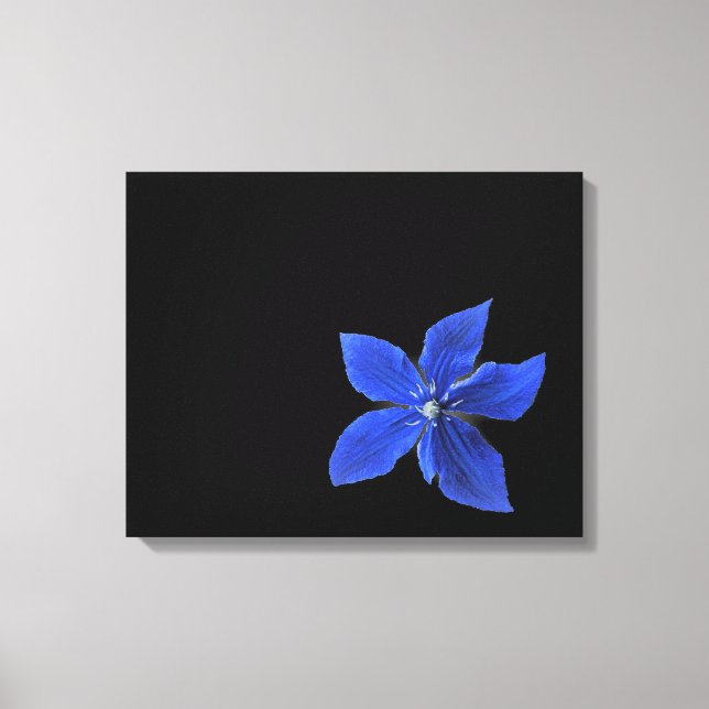 Blue Clematis on Black Wrapped Canvas (Front)