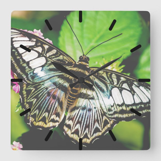 Blue Clipper Square Wall Clock (Front)