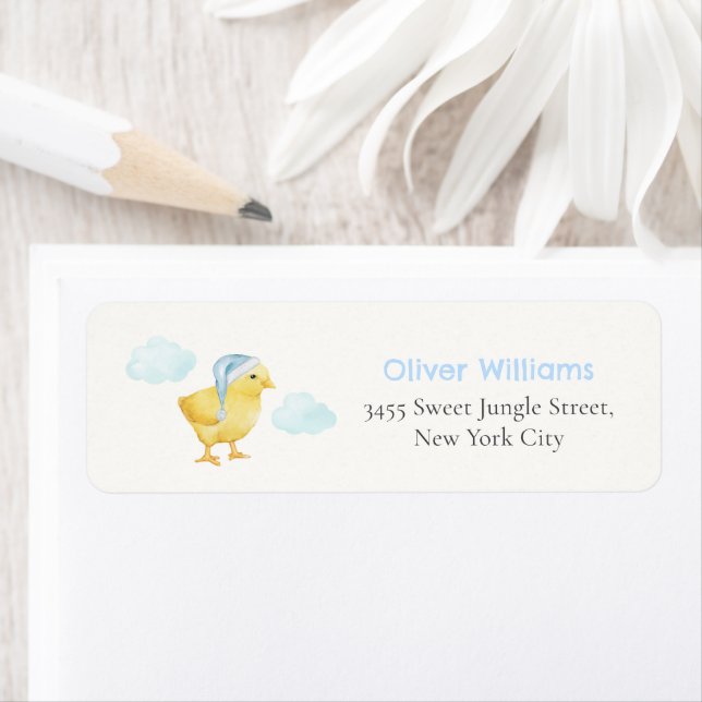 Blue Cloud Chicken Baby Shower Return Address (Insitu)