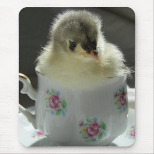 Blue Cochin Chick in Teacup Mouse Mat