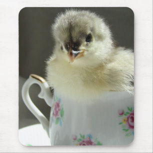 Blue Cochin Chick Mouse Mat