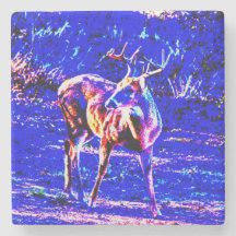 Blue Colour Buck Wild Deer Art Coaster