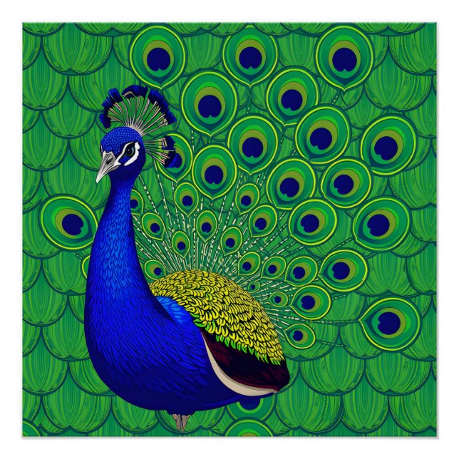 Blue Colourful Peacock Poster (Front)