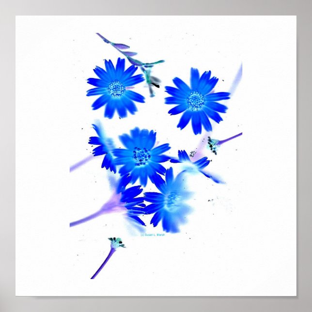 Blue colourized wild flowers scattered design poster (Front)