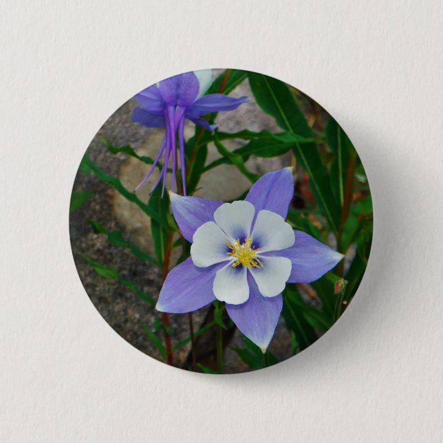 Blue columbine 6 cm round badge (Front)