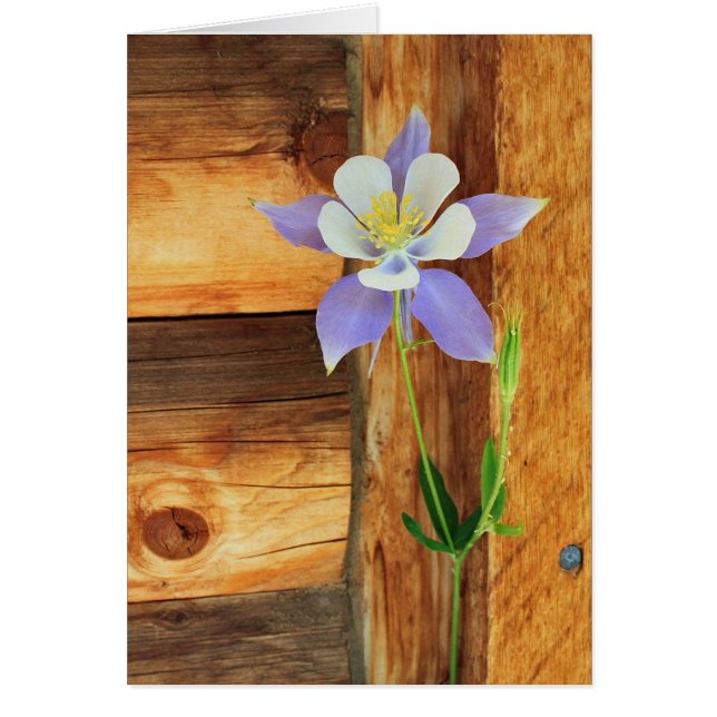 Blue Columbine and Wood All Occasion Greeting Card (Front)