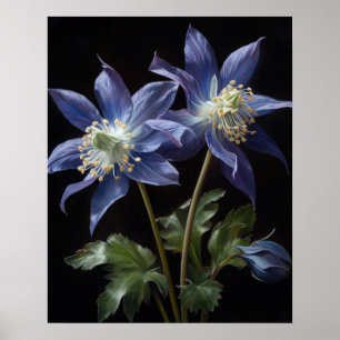Blue Columbine Flowers Art Print Poster