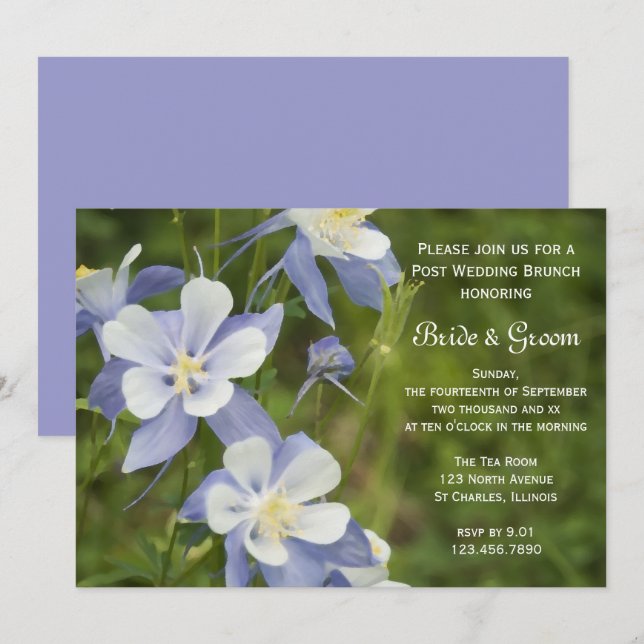 Blue Columbine Flowers Post Wedding Brunch Invitation (Front/Back)