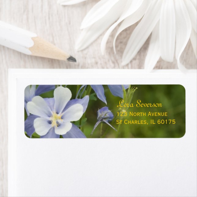 Blue Columbine Flowers Return Address (Insitu)