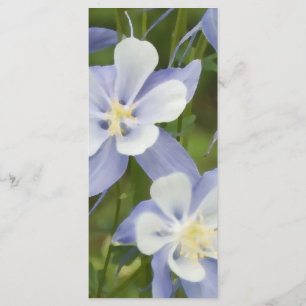 Blue Columbine Flowers Wedding Program Programme