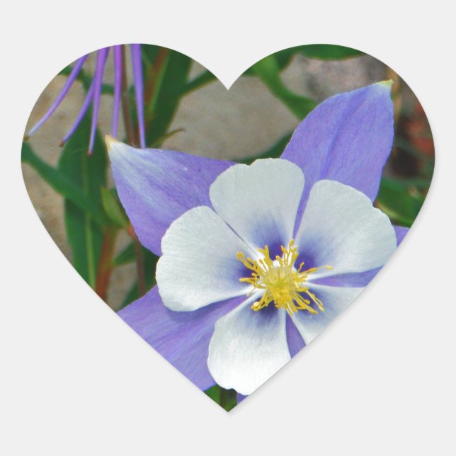 Blue columbine heart sticker (Front)