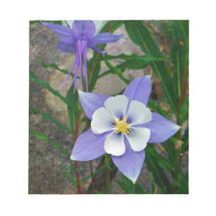 Blue columbine notepad