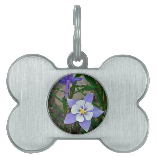 Blue columbine pet name tag (Front)
