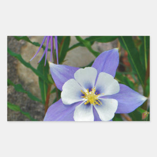 Blue columbine rectangular sticker