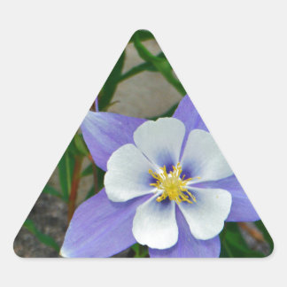 Blue columbine triangle sticker