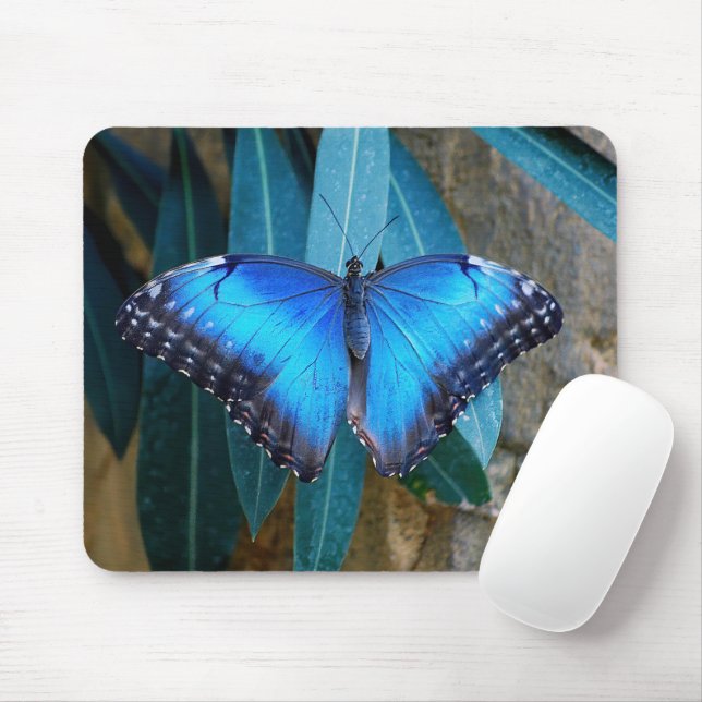 Blue Common Morpho Butterfly  Mouse Mat (With Mouse)