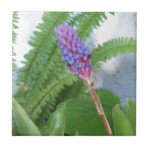 Blue Cone Bromeliad flower Tile