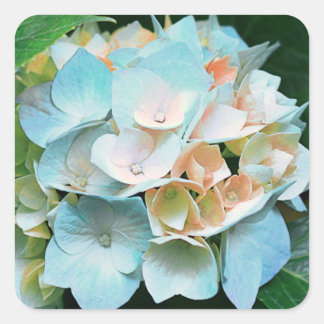 Blue Coral Peach Hydrangea Floral Stickers / Seals