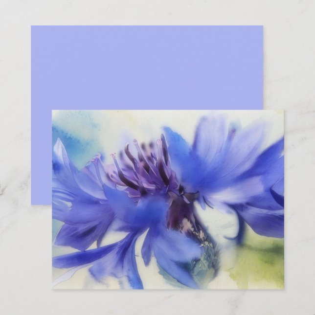 Blue Cornflower Bachelors Button Note Card Set (Front/Back)