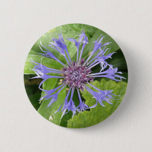 Blue Cornflower Button