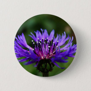 Blue Cornflower Flower Blossoms Peace Love Destiny 6 Cm Round Badge