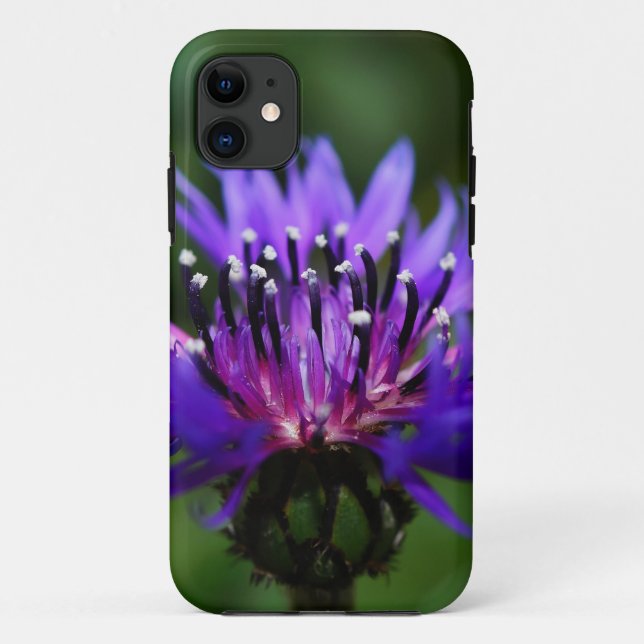 Blue Cornflower Flower Blossoms Peace Love Destiny Case-Mate iPhone Case (Back)