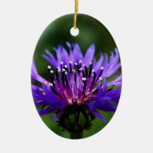Blue Cornflower Flower Blossoms Peace Love Destiny Ceramic Tree Decoration