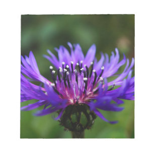Blue Cornflower Flower Blossoms Peace Love Destiny Notepad